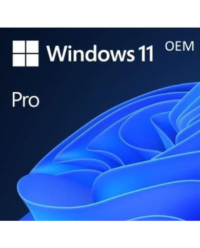 Windows 11 Professional OEM - Key Global Activation