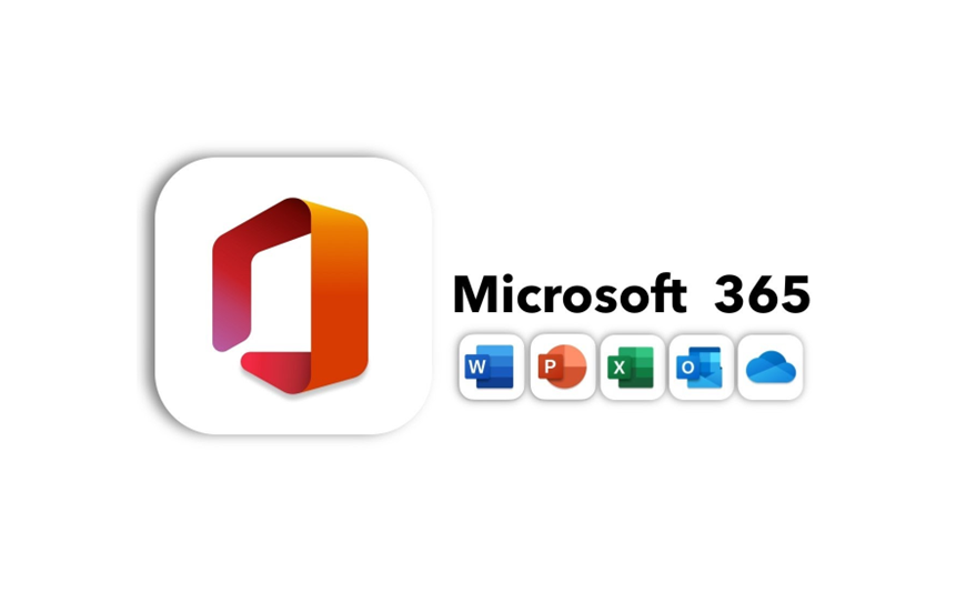 Which Microsoft Office Package Is Best for Your Needs in 2026?