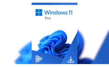 Top Reasons to Buy Windows 11 Pro OEM Key Global
